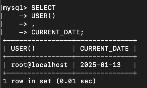 输入查询示例sql5