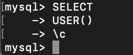 输入查询示例sql6