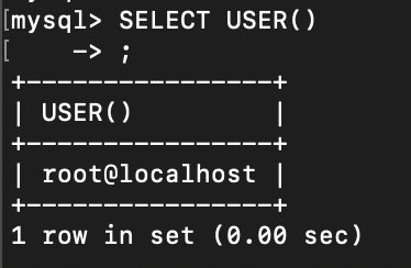 输入查询示例sql8